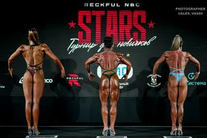 FIGURE STARS
